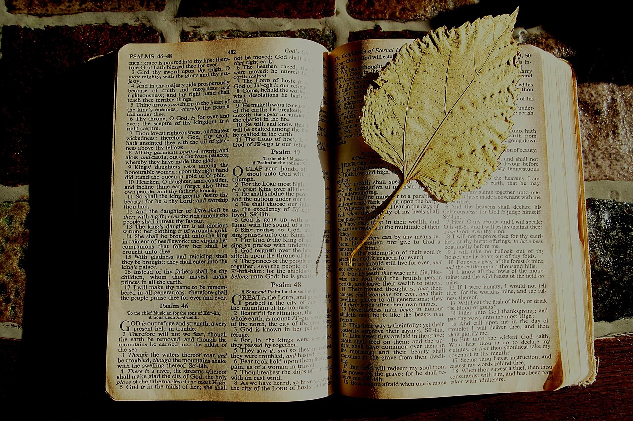 bible, bible study, bookmark, dried leaf, book, christian, faith, page, old testament, bible, bible, bible study, bible study, old testament, old testament, old testament, old testament, old testament